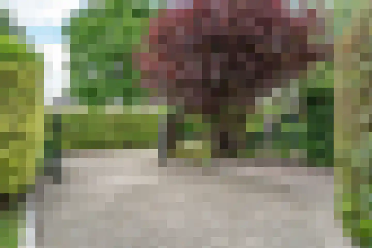 Zandpad 12 Opijnen thumbnail 16