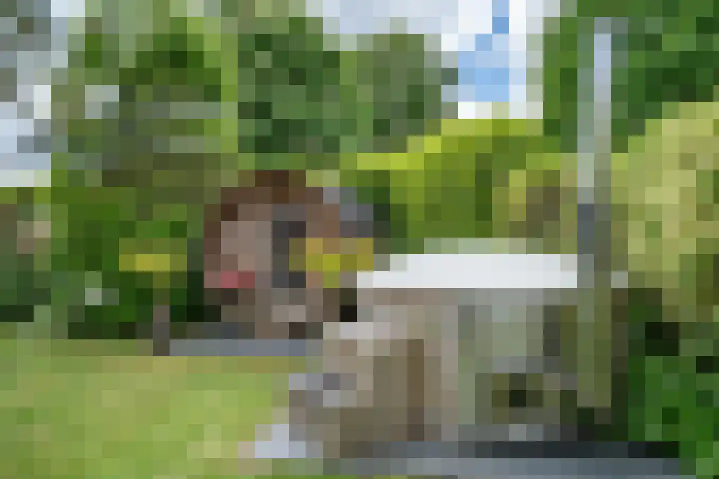 Zandpad 12 Opijnen thumbnail 18