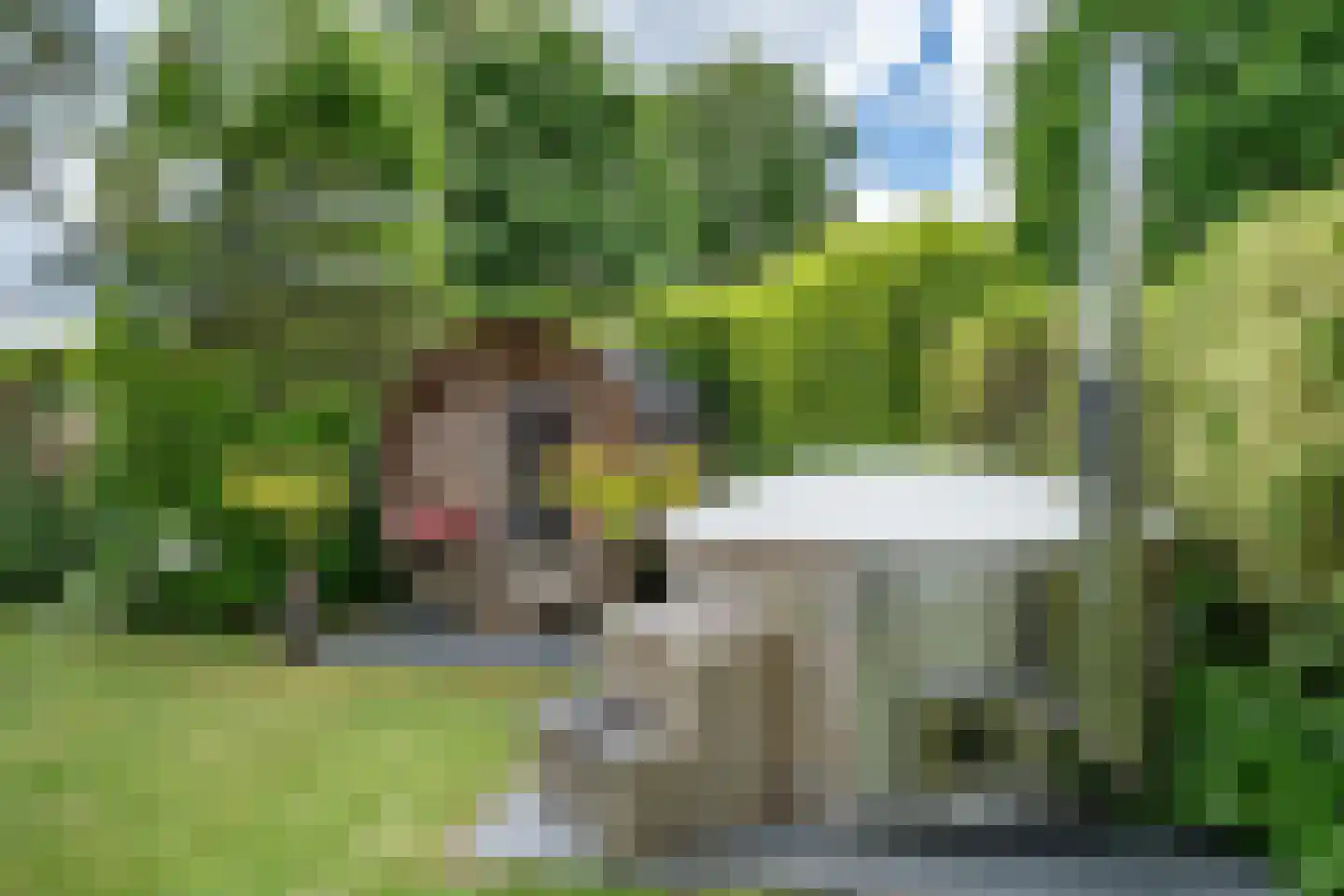 Zandpad 12 Opijnen thumbnail 19