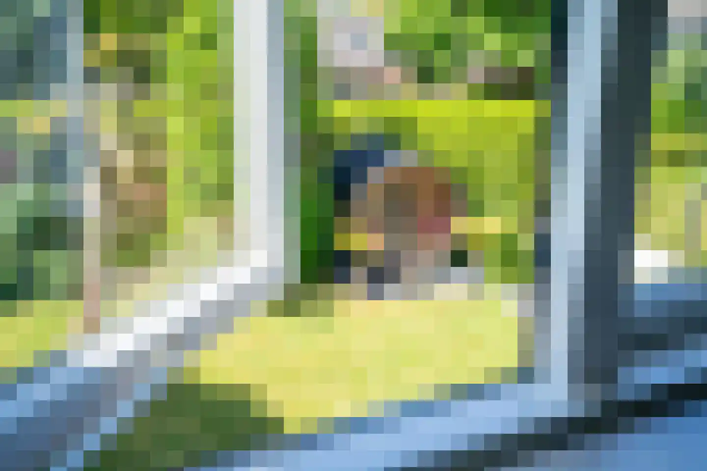 Zandpad 12 Opijnen thumbnail 58