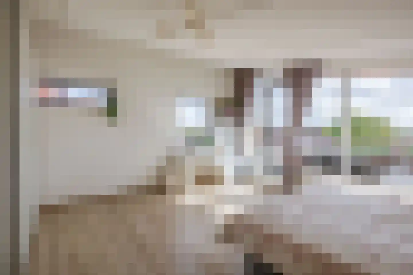 Zandpad 13 Middelharnis thumbnail 32
