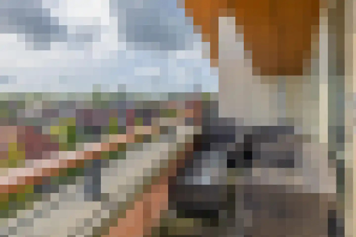 Zandpad 13 Middelharnis thumbnail 34