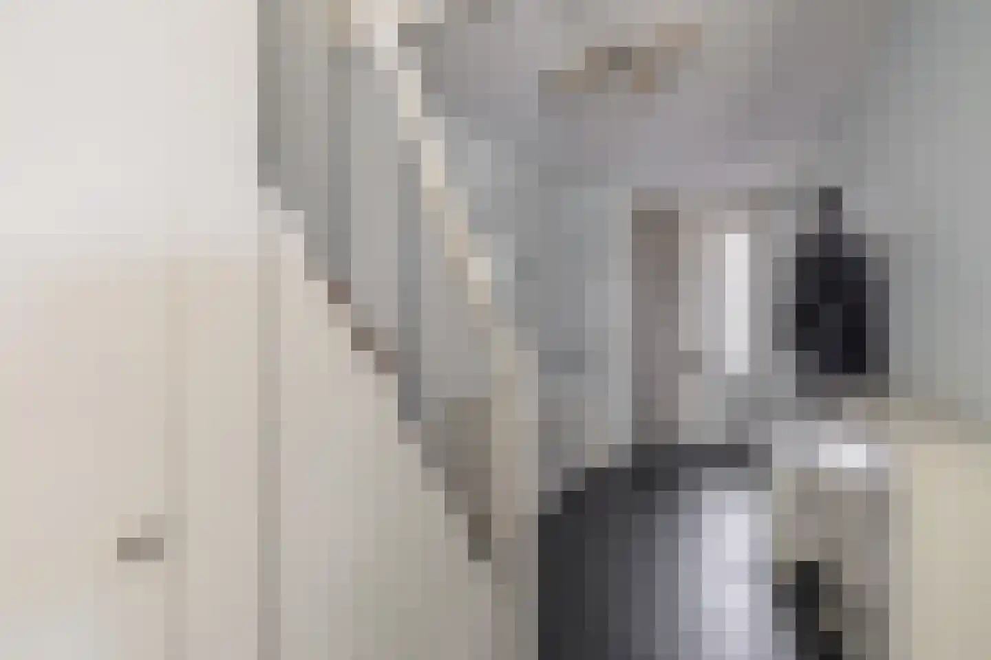 Zandpad 13 Middelharnis thumbnail 7