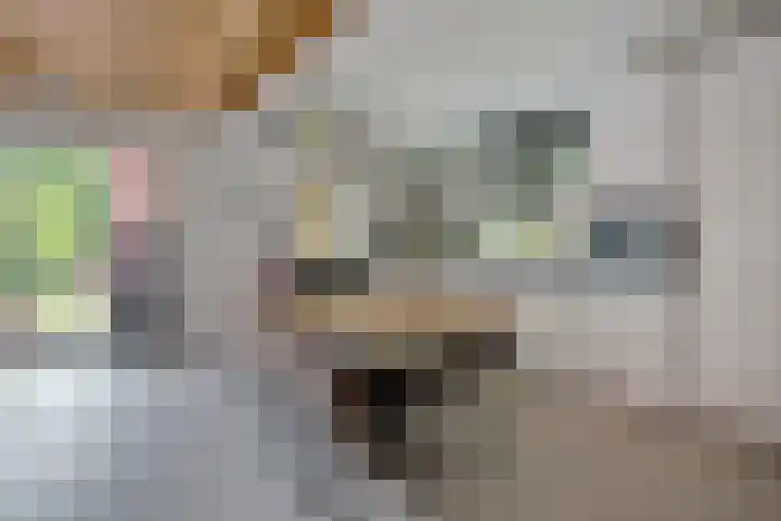 Zandpad 133 Breukelen thumbnail 10