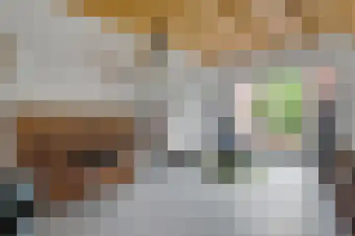 Zandpad 133 Breukelen thumbnail 14