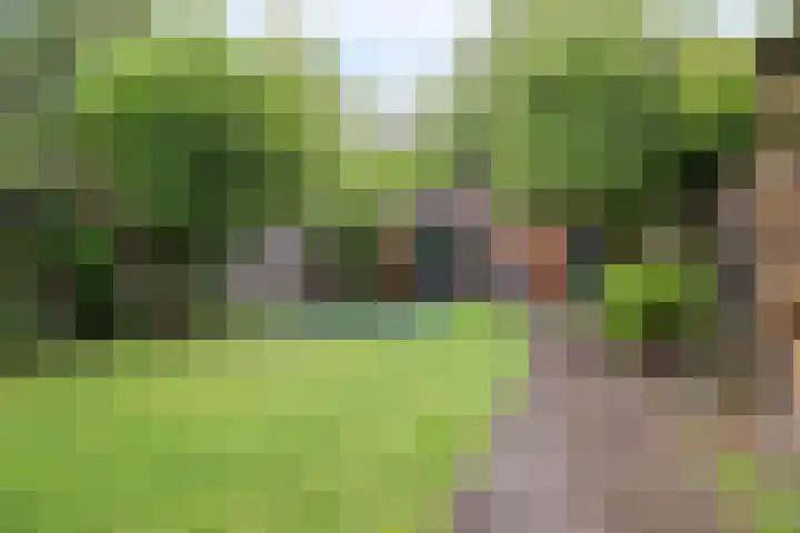 Zandpad 133 Breukelen thumbnail 33