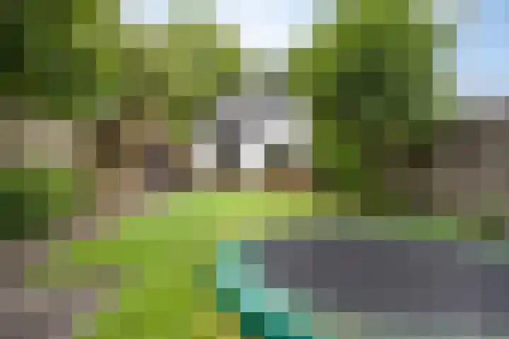 Zandpad 133 Breukelen thumbnail 40