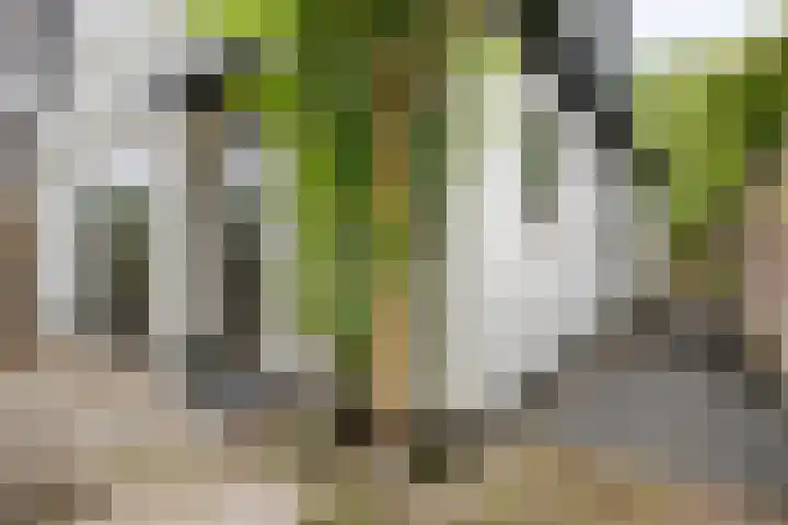Zandpad 133 Breukelen thumbnail 42