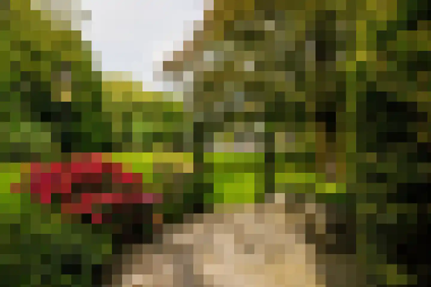 Zandpad 14 Nieuwersluis thumbnail 13
