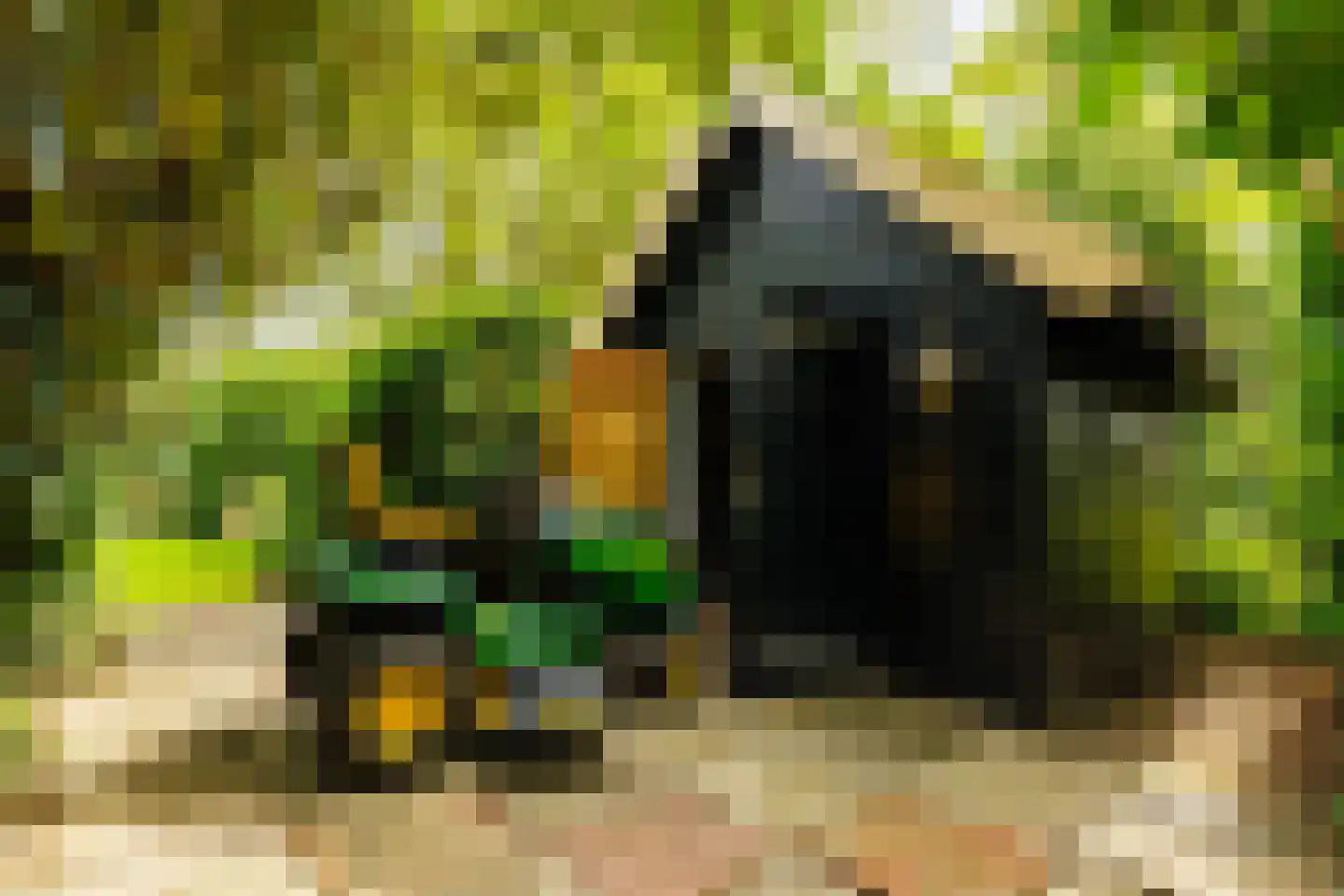 Zandpad 14 Nieuwersluis thumbnail 15