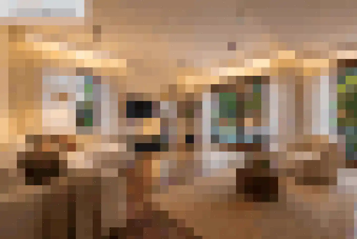Zandpad 14 Nieuwersluis thumbnail 25