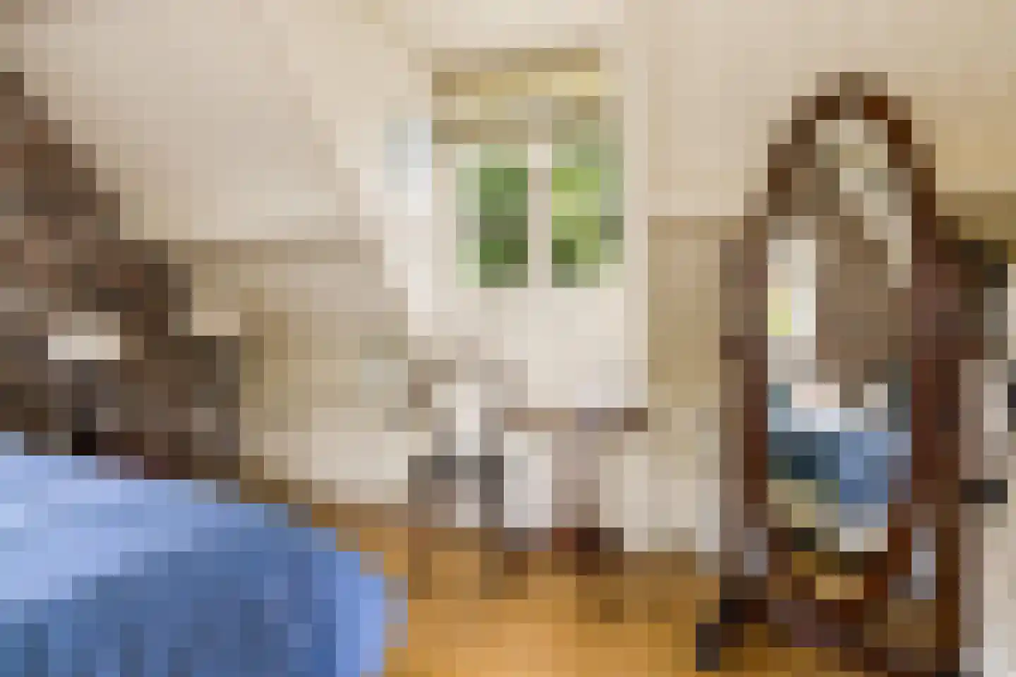 Zandpad 14 Nieuwersluis thumbnail 35