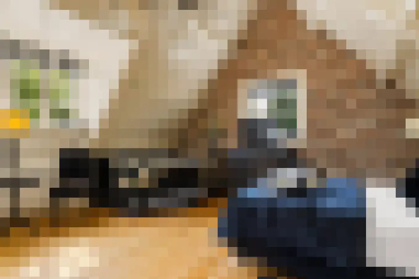 Zandpad 14 Nieuwersluis thumbnail 41