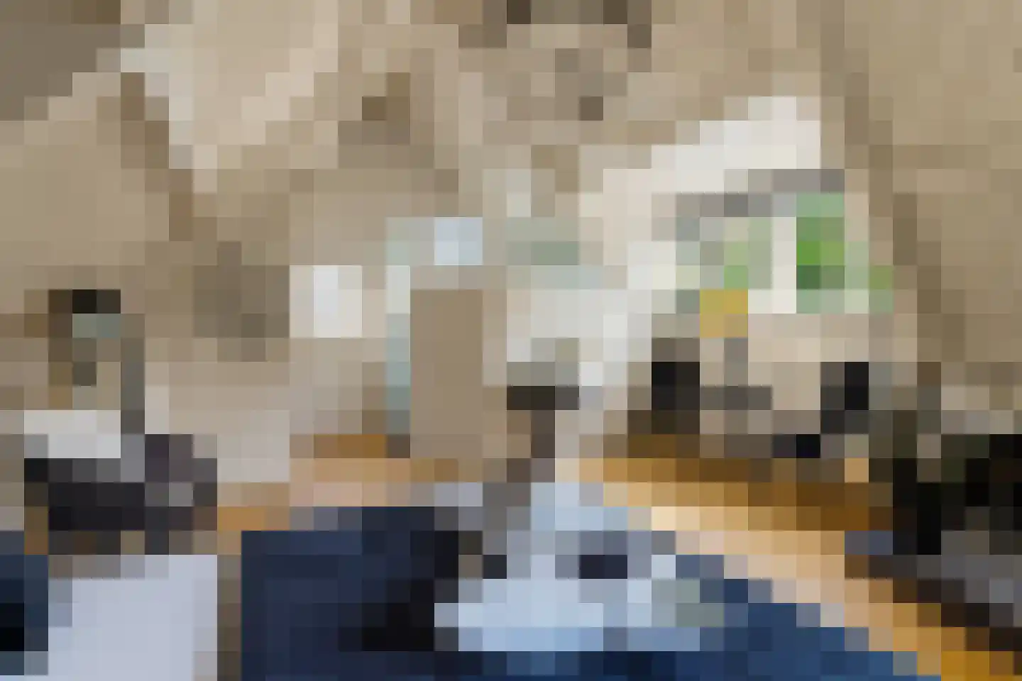 Zandpad 14 Nieuwersluis thumbnail 42