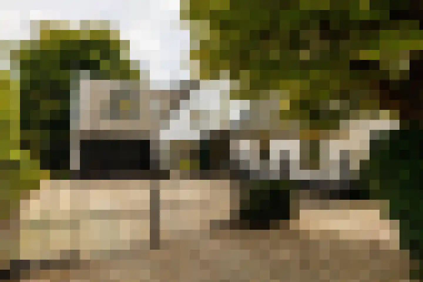 Zandpad 14 Nieuwersluis thumbnail 5
