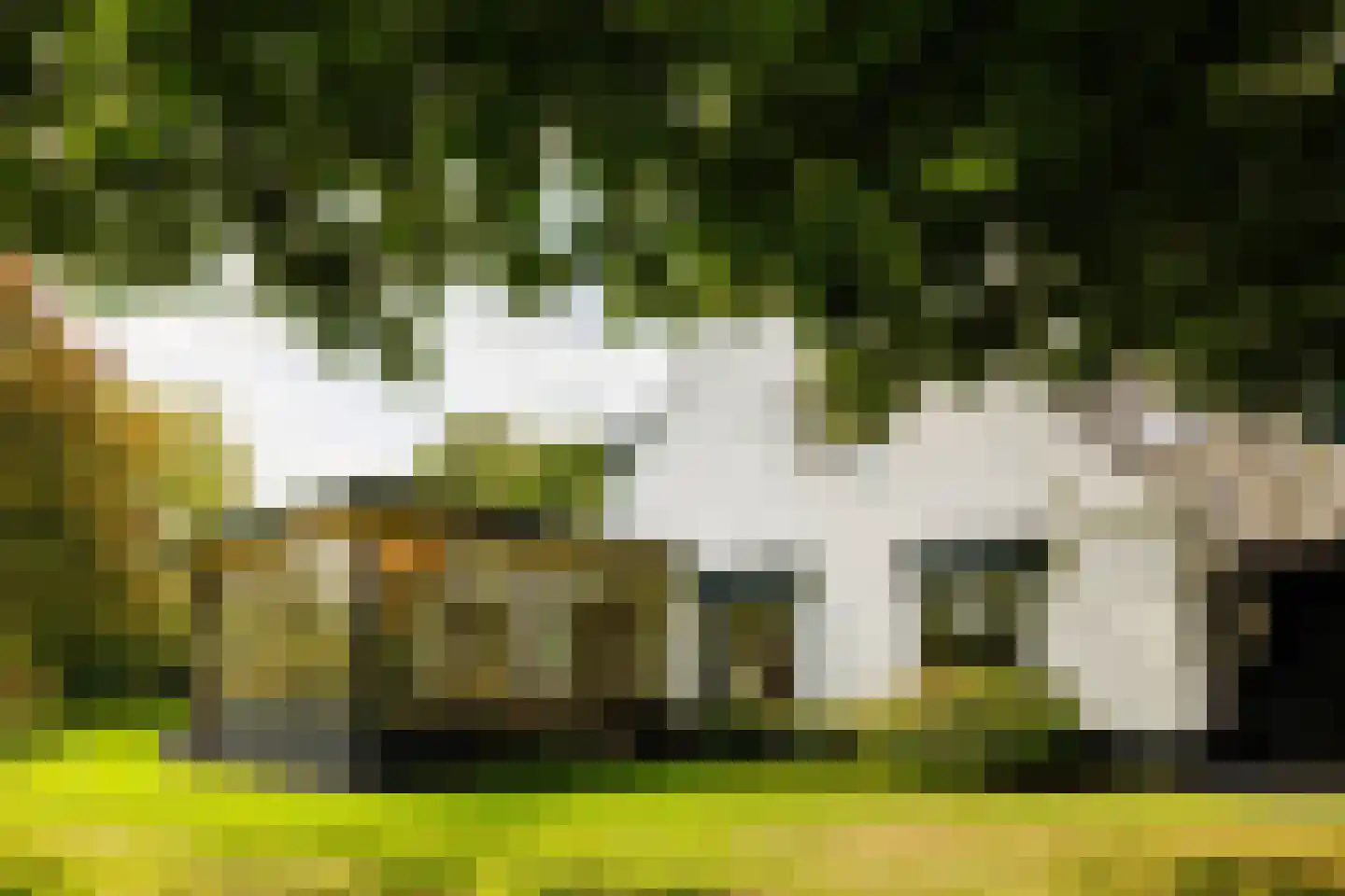Zandpad 14 Nieuwersluis thumbnail 8