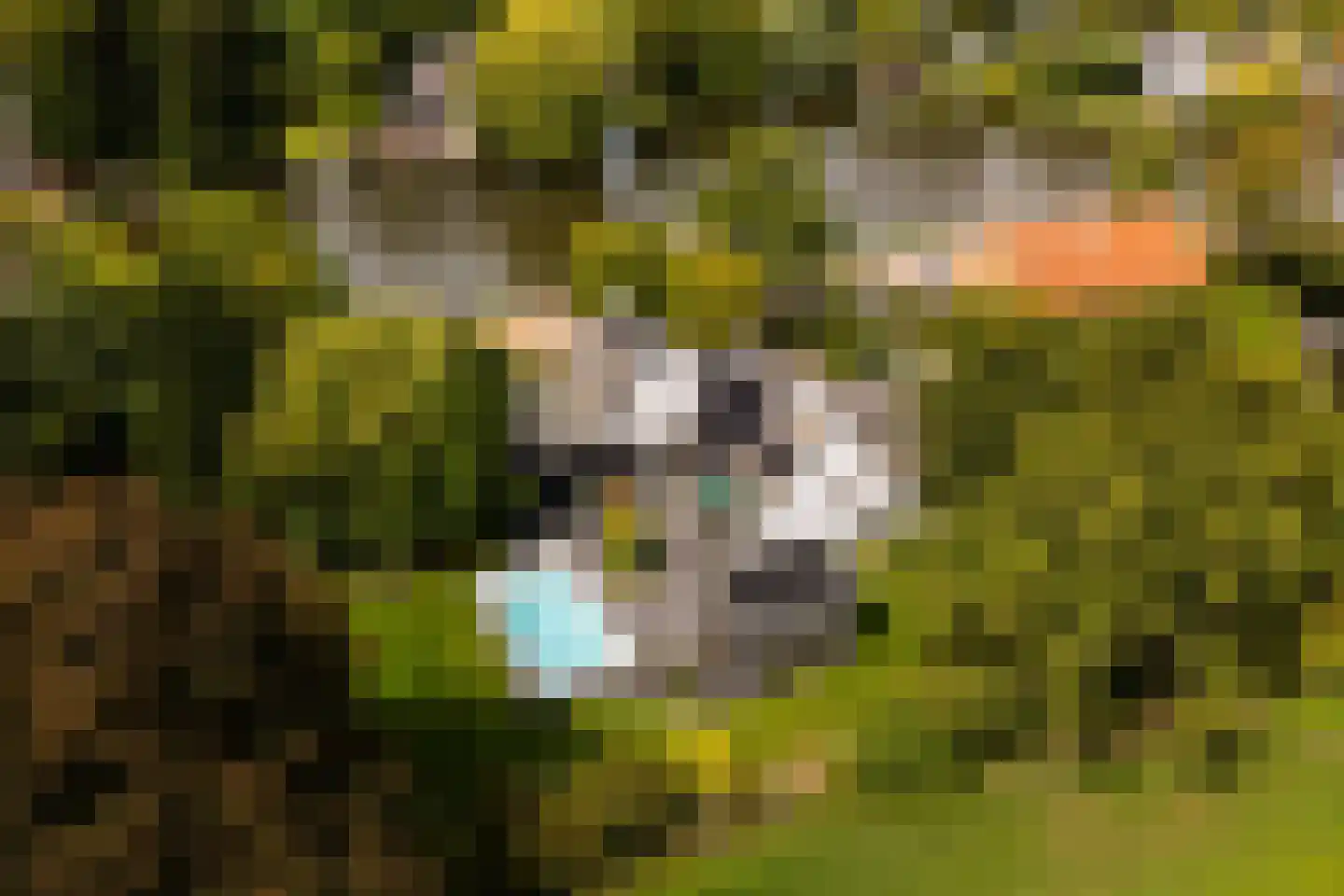 Zandpad 14 Nieuwersluis thumbnail 9