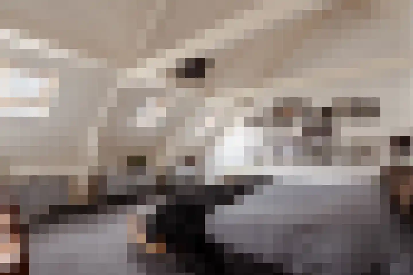 Zandpad 2 Amsterdam thumbnail 11