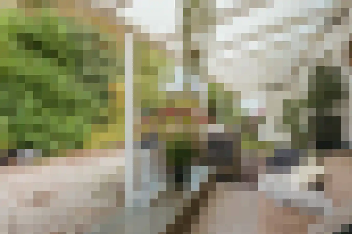 Zandpad 2 Amsterdam thumbnail 15
