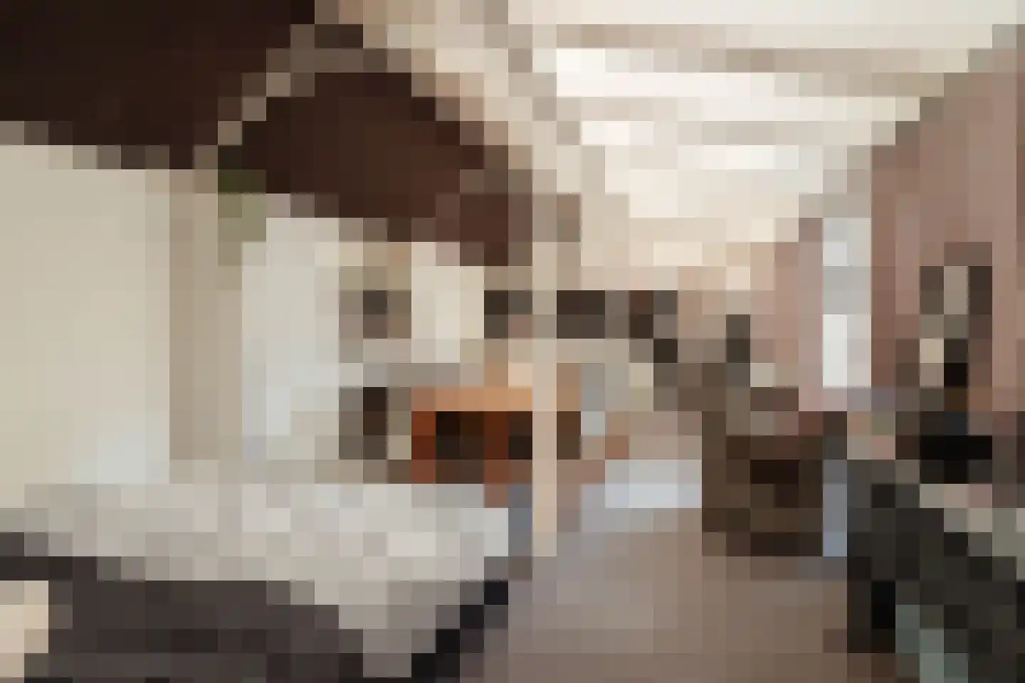 Zandpad 2 Amsterdam thumbnail 25