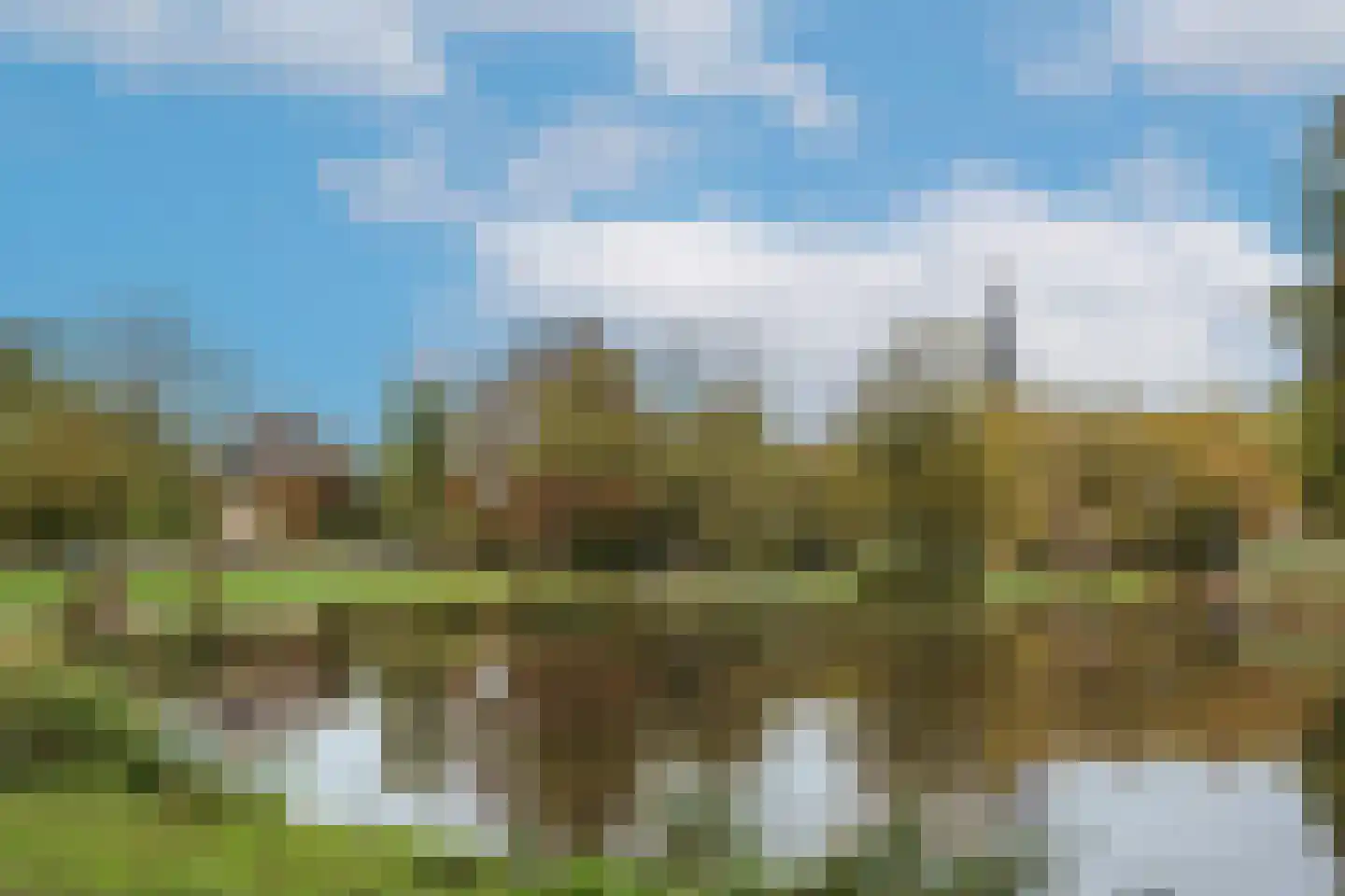 Zandpad 2 Amsterdam thumbnail 38