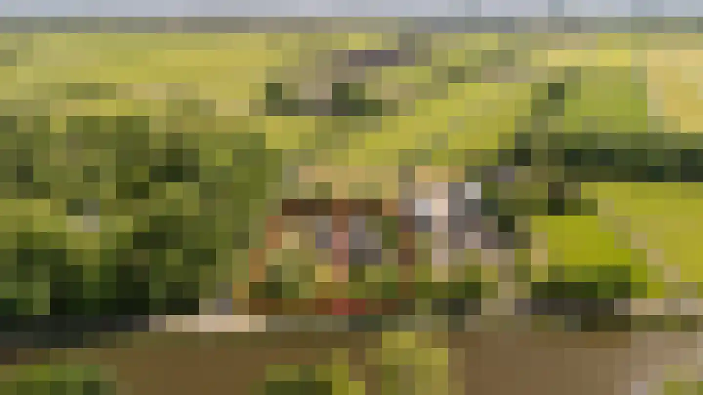 Zandpad 23 Nieuwersluis thumbnail 11