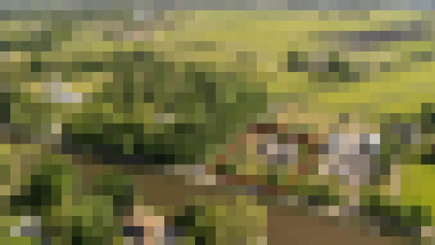Zandpad 23 Nieuwersluis thumbnail 12