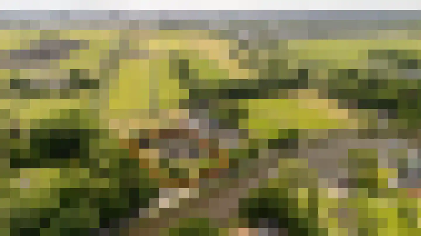 Zandpad 23 Nieuwersluis thumbnail 13