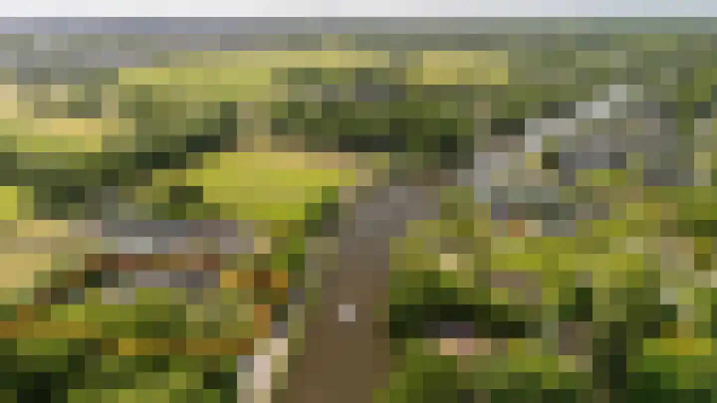 Zandpad 23 Nieuwersluis thumbnail 14