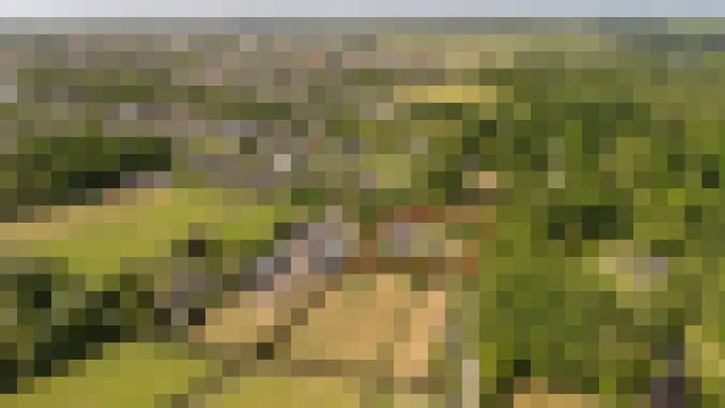 Zandpad 23 Nieuwersluis thumbnail 15