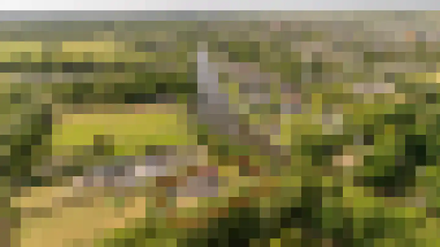 Zandpad 23 Nieuwersluis thumbnail 16