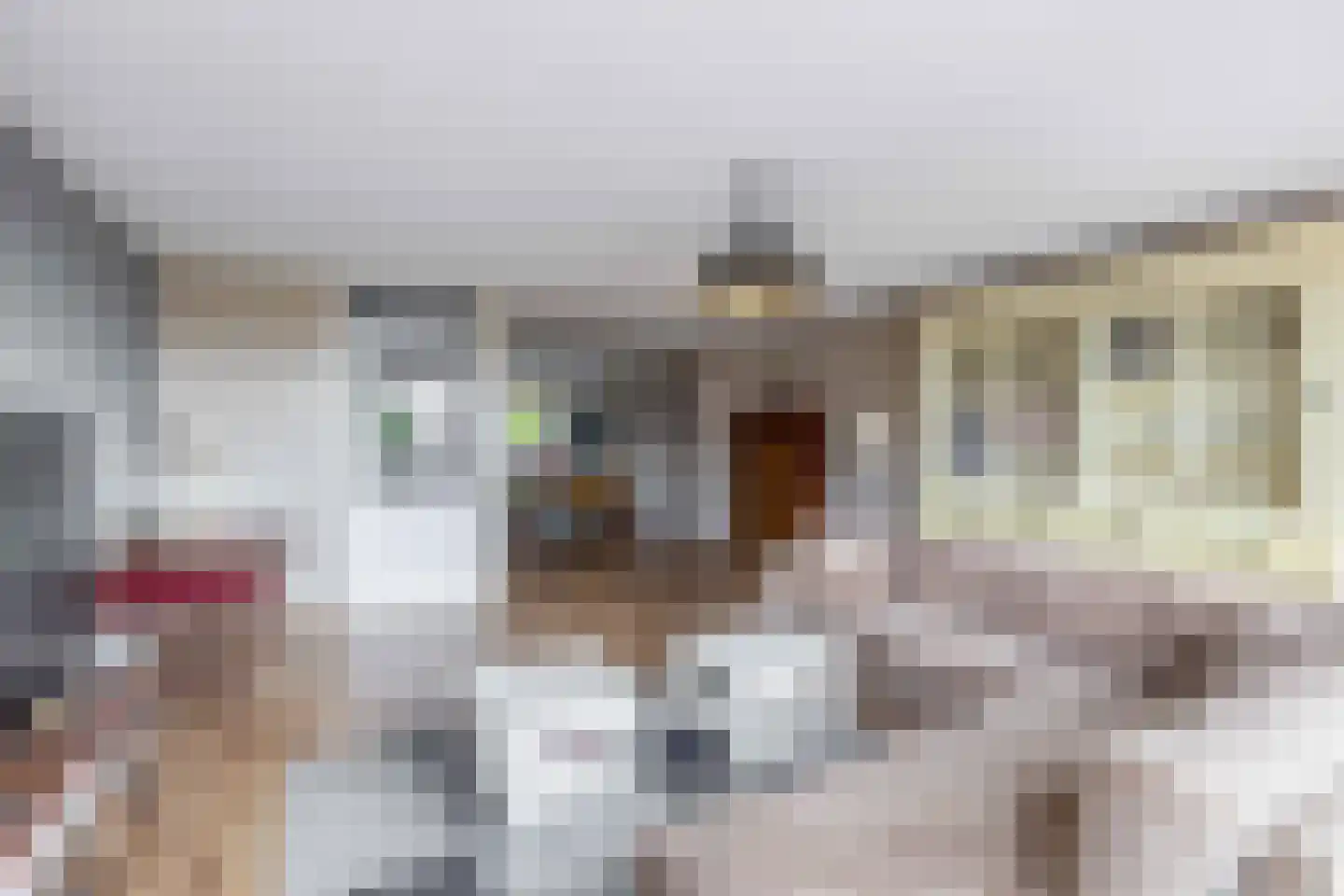 Zandpad 25 Middelharnis thumbnail 17