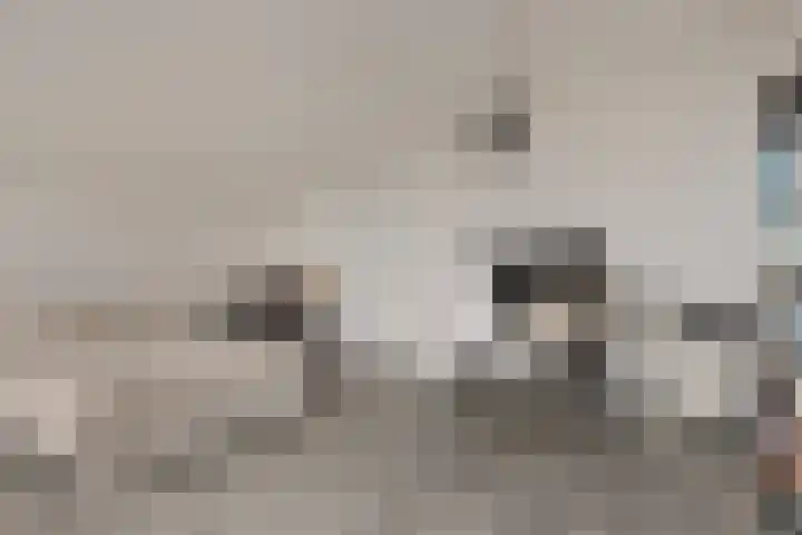 Zandpad 27 Middelharnis thumbnail 31