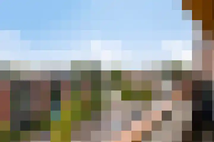 Zandpad 27 Middelharnis thumbnail 40