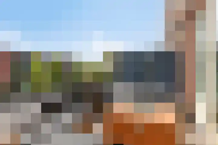 Zandpad 27 Middelharnis thumbnail 5