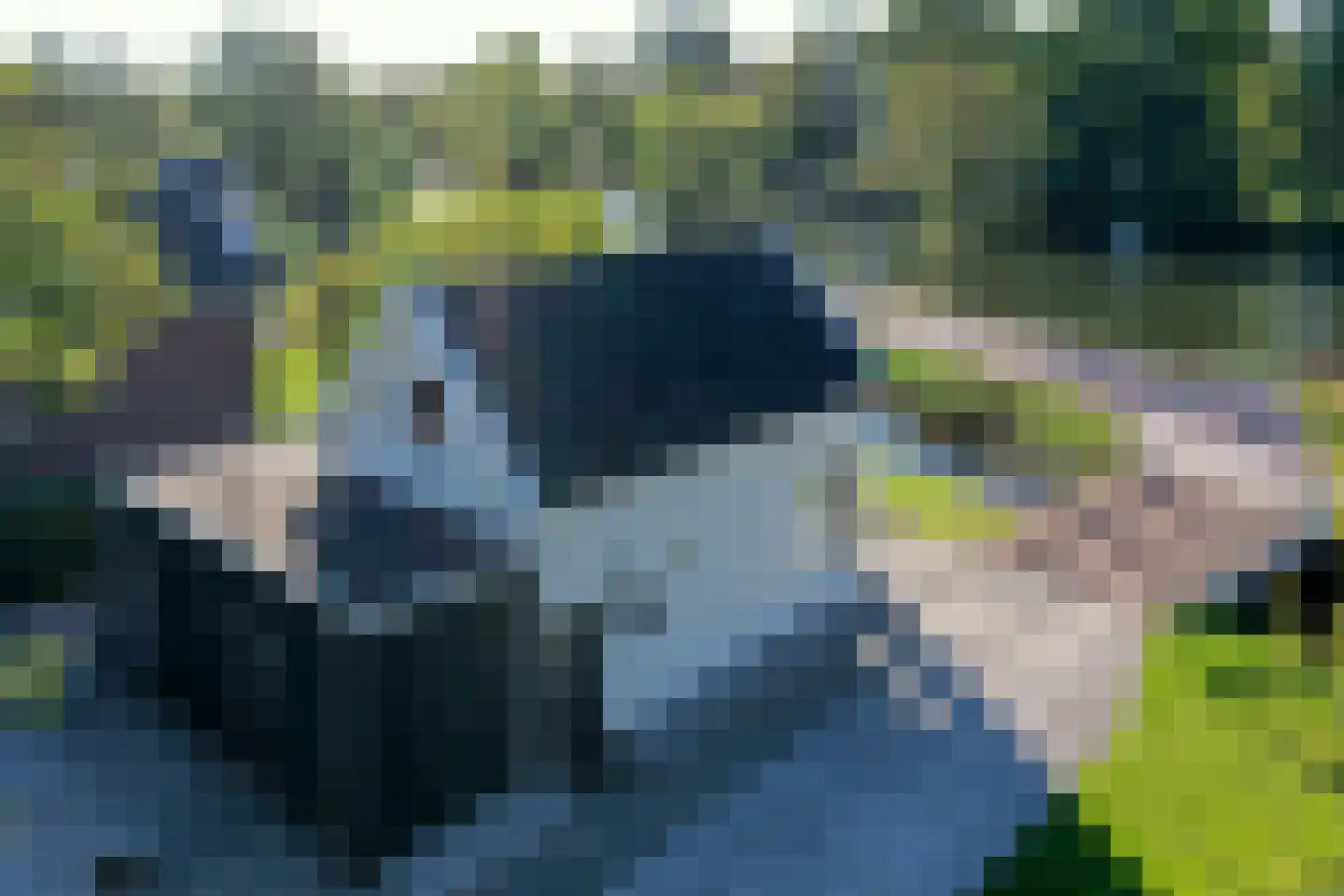 Zandpad 28 Breukelen thumbnail 23