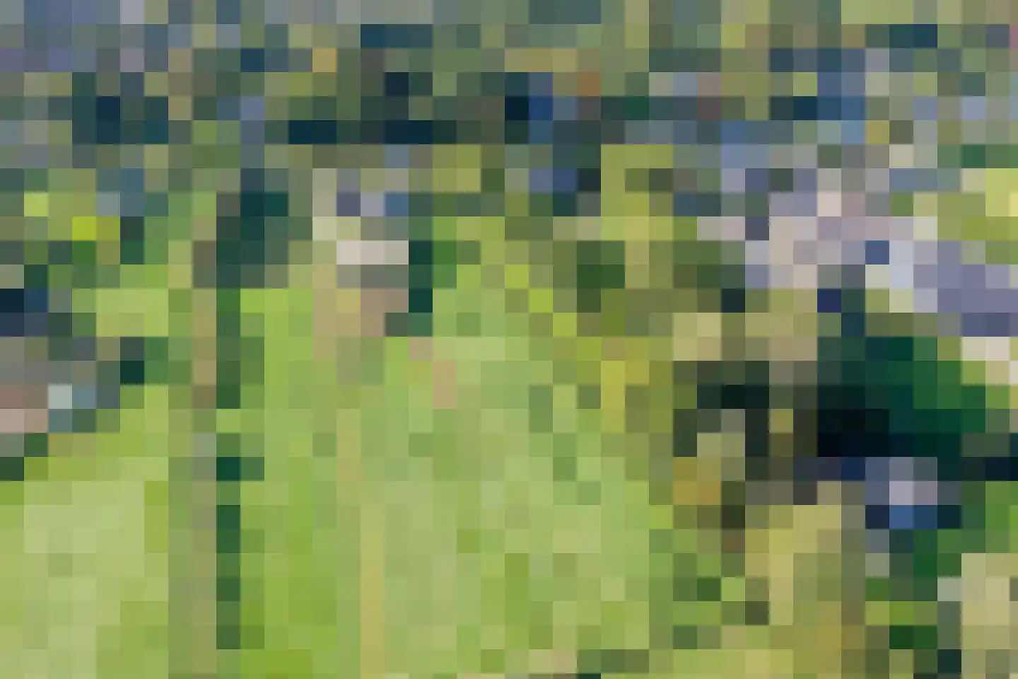Zandpad 28 Breukelen thumbnail 32