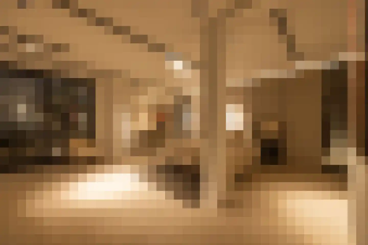 Zandpad 3 A 1 Amsterdam thumbnail 25