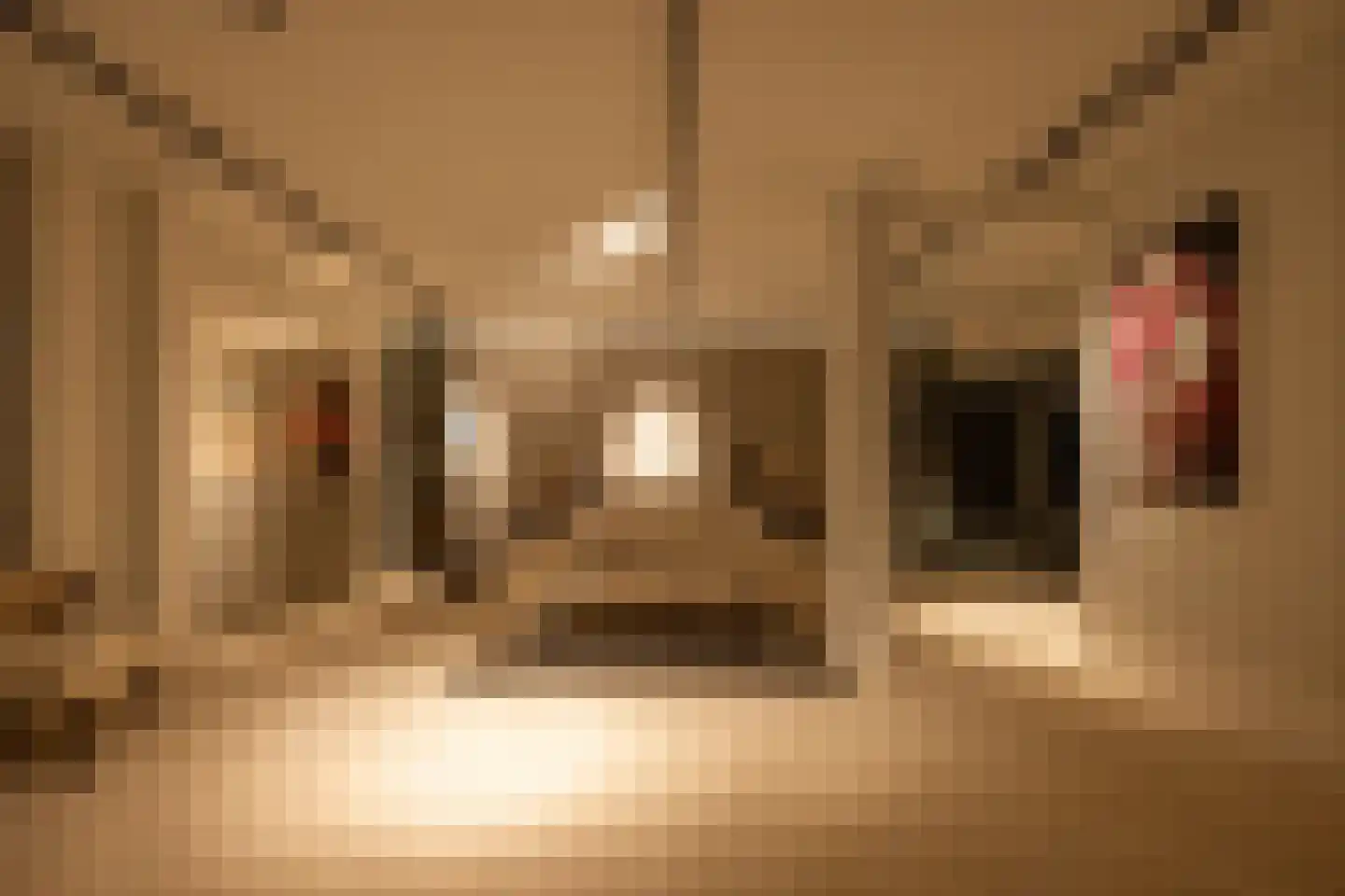 Zandpad 3 A 1 Amsterdam thumbnail 26