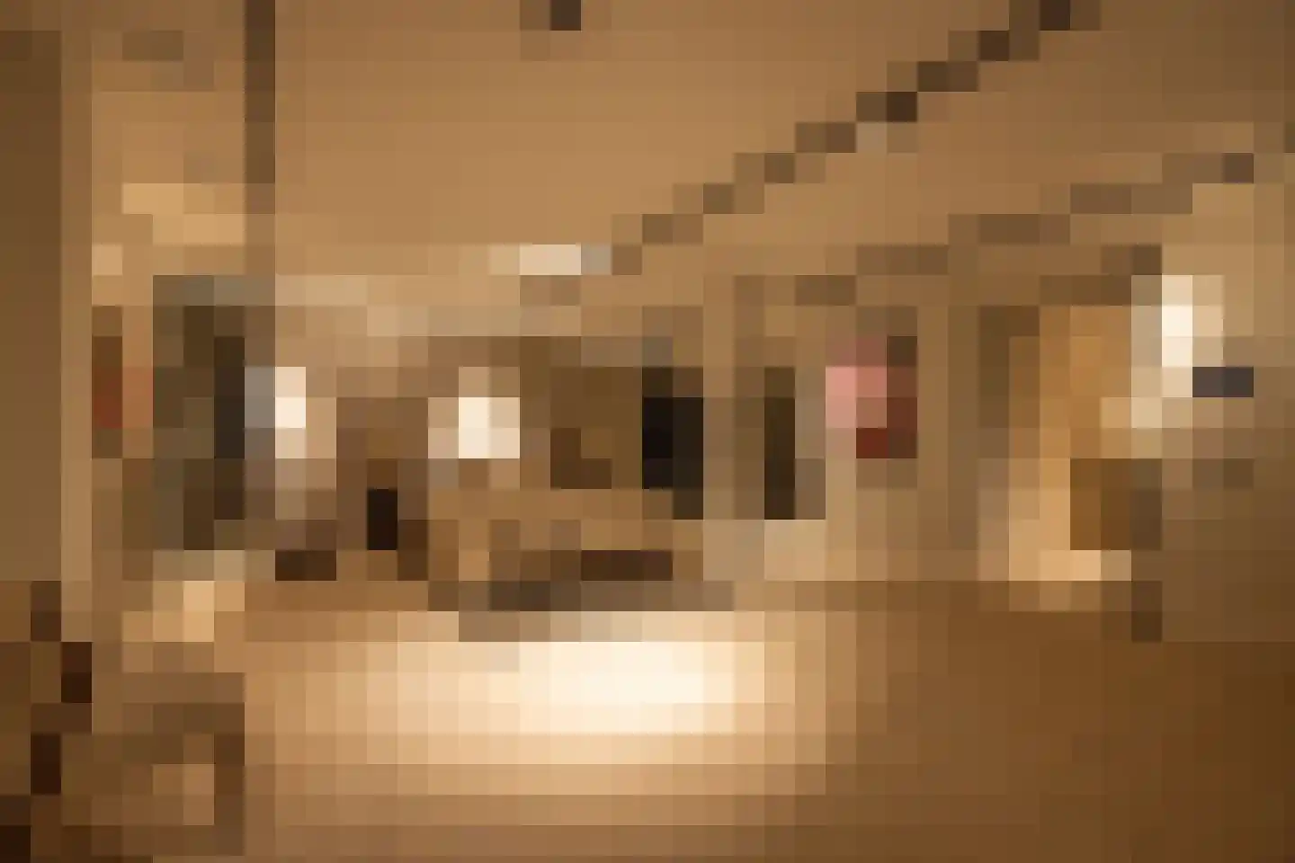 Zandpad 3 A 1 Amsterdam thumbnail 27