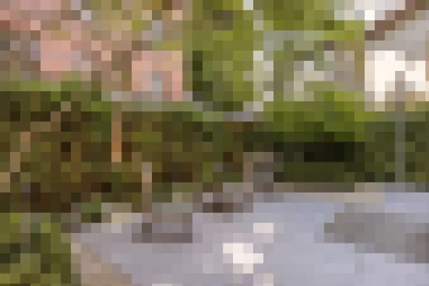Zandpad 3 A 1 Amsterdam thumbnail 41
