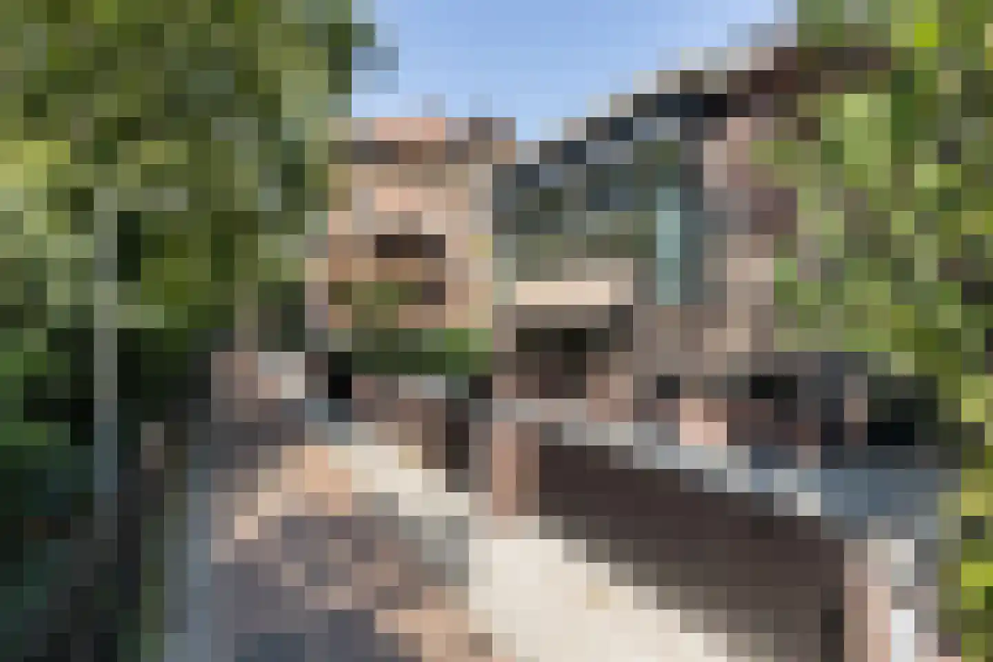 Zandpad 3 A 1 Amsterdam thumbnail 44