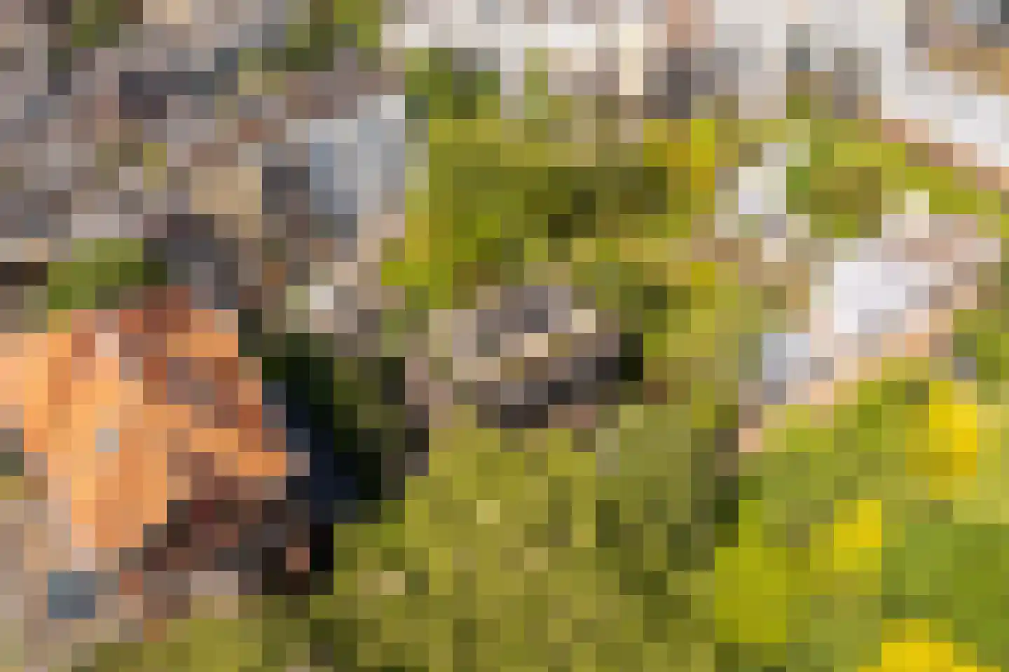 Zandpad 3 B Amsterdam thumbnail 46