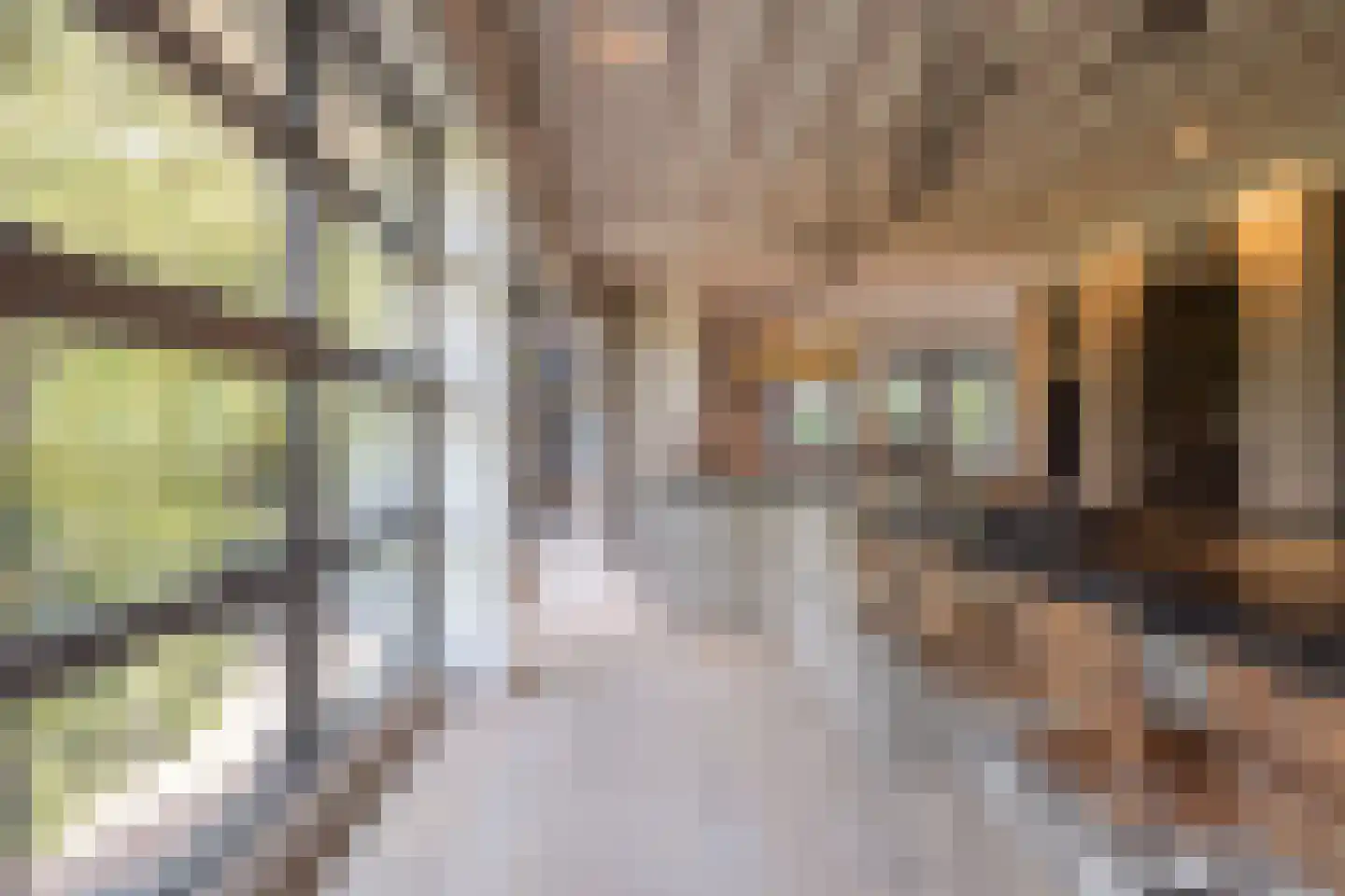 Zandpad 3 C Amsterdam thumbnail 10
