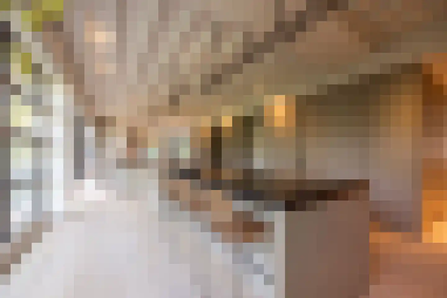Zandpad 3 C Amsterdam thumbnail 11