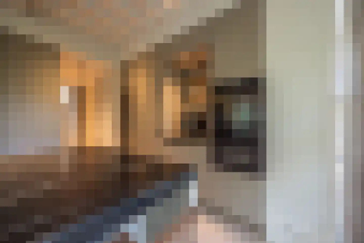 Zandpad 3 C Amsterdam thumbnail 16