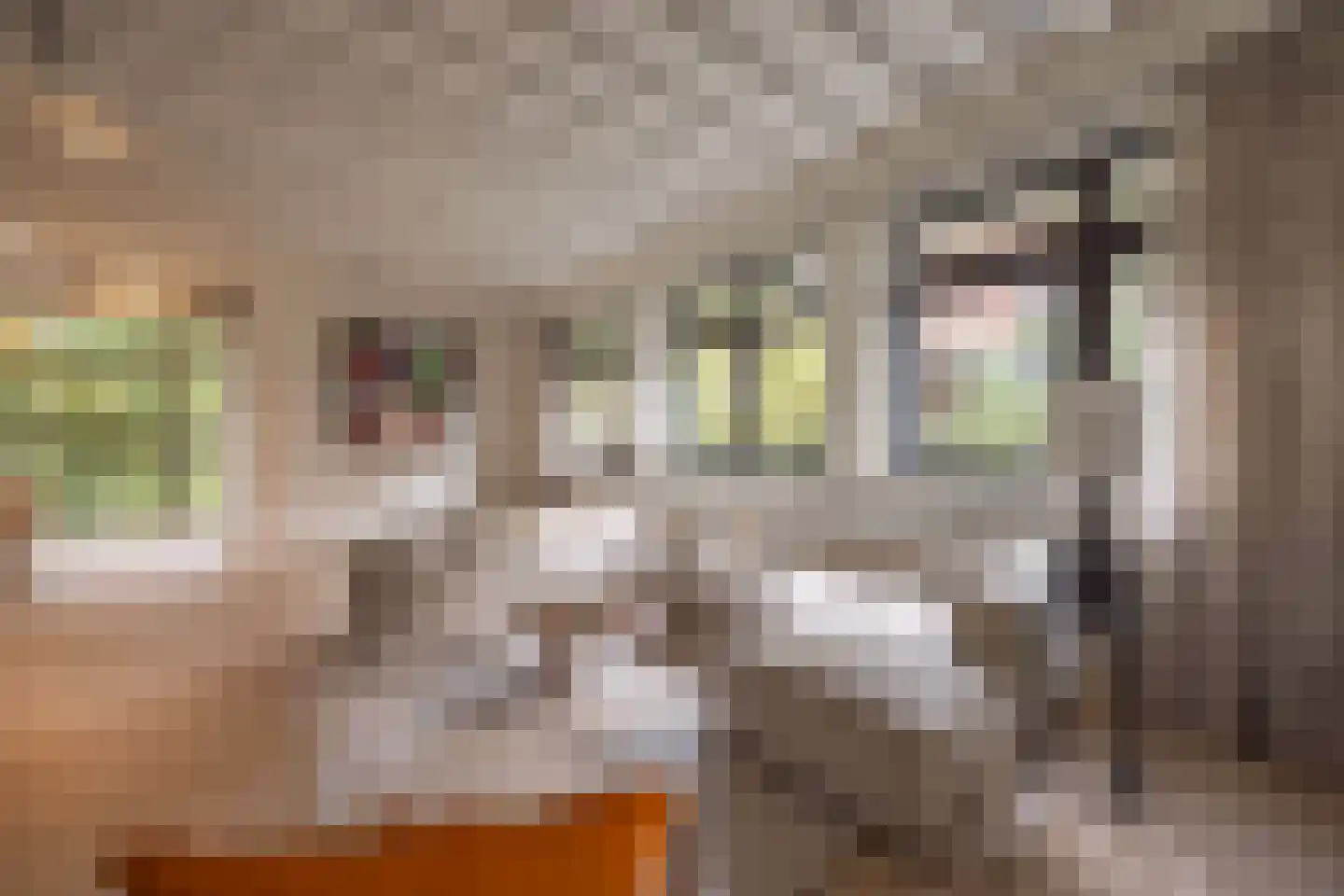 Zandpad 3 C Amsterdam thumbnail 22