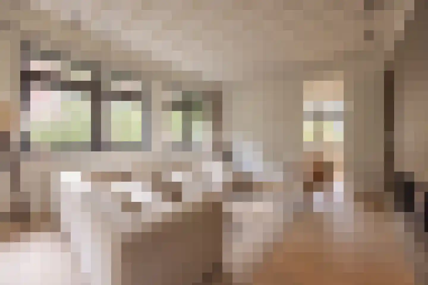 Zandpad 3 C Amsterdam thumbnail 23