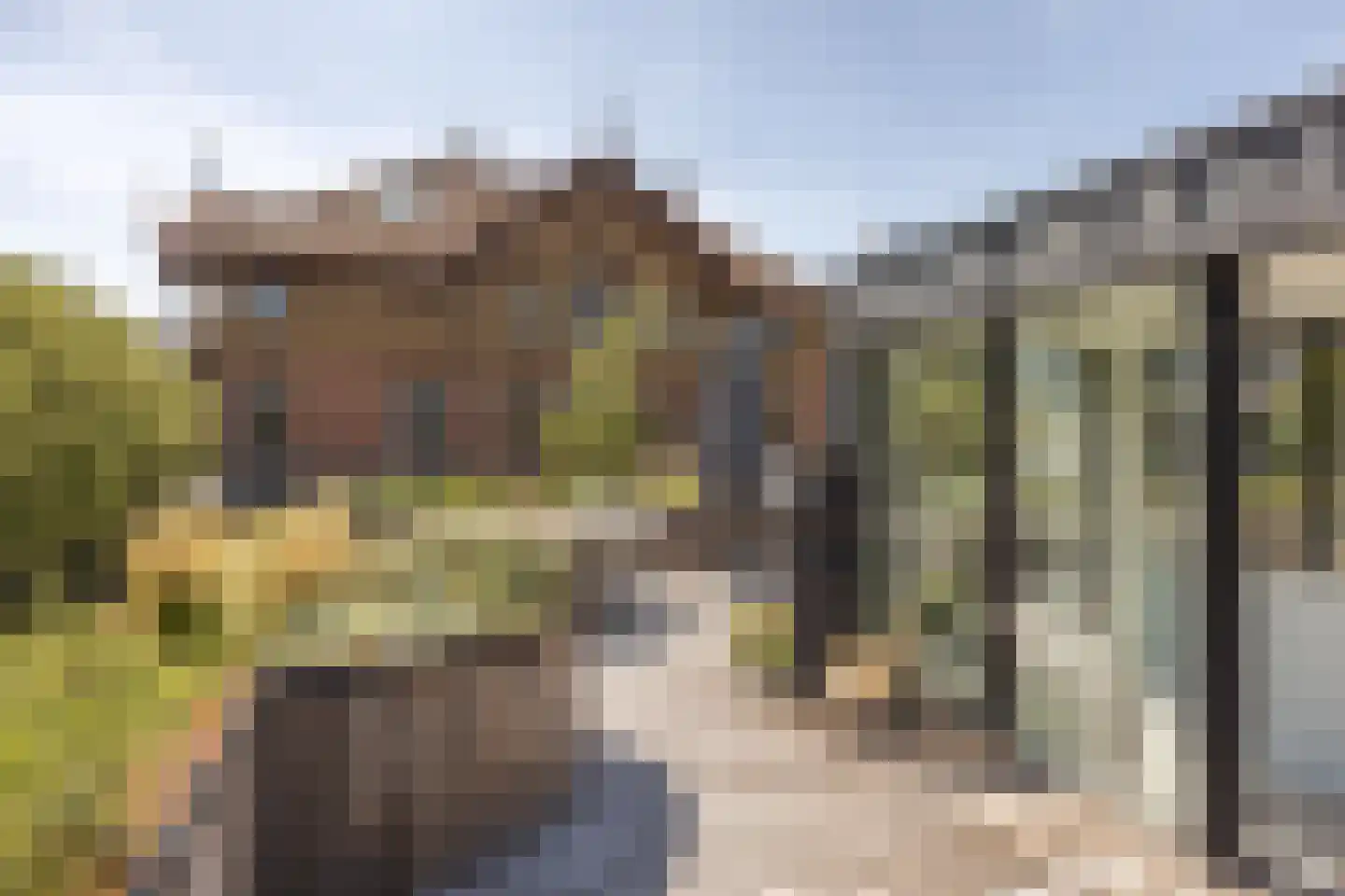 Zandpad 3 C Amsterdam thumbnail 5