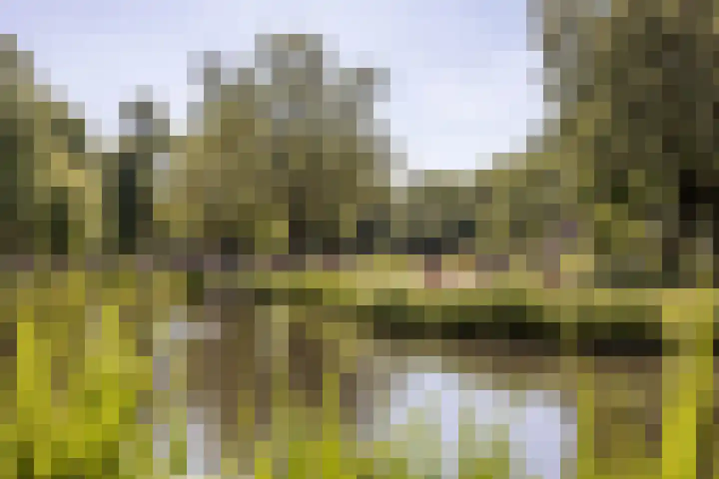 Zandpad 3 C Amsterdam thumbnail 52